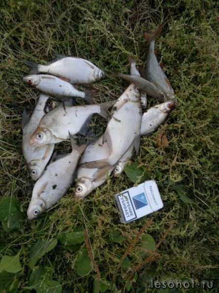 27082011156.jpg