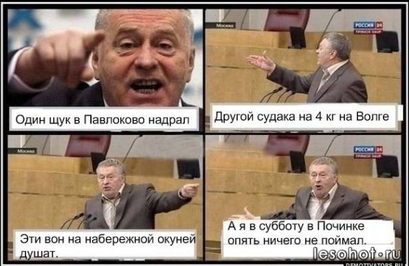 pochinok.jpg