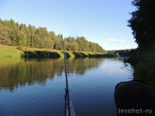 DSCN0916.JPG