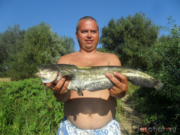 SAM_6294.JPG
