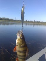 220820111162.jpg