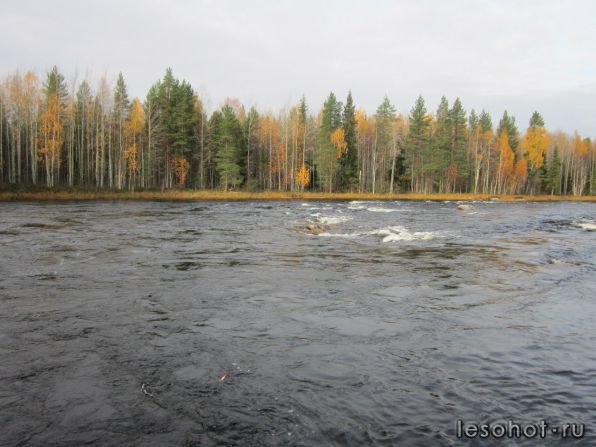 photo_00100.jpg