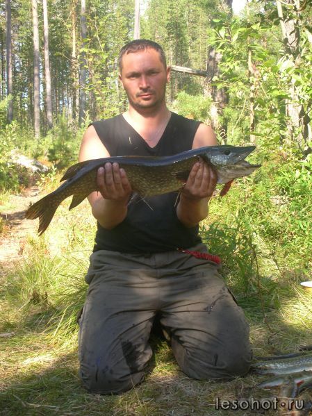 DSCN2942.JPG