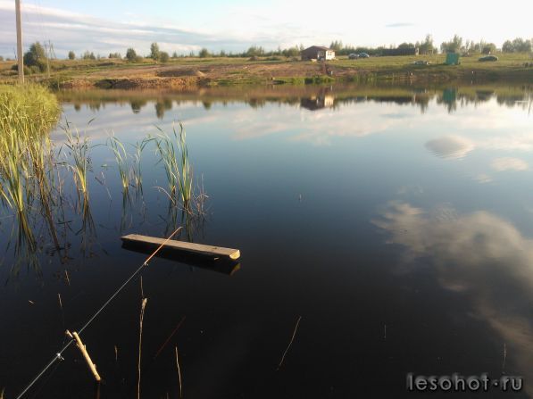 WP_000179.jpg