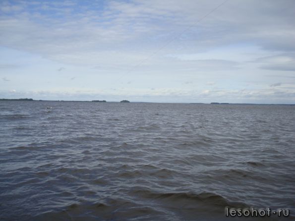 DSC02616.JPG