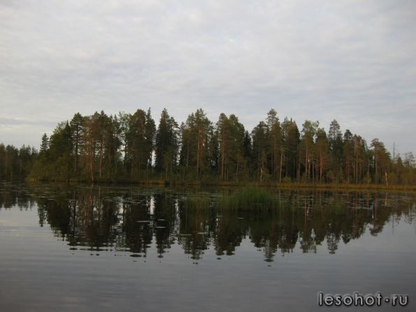 z_77c0284d.jpg