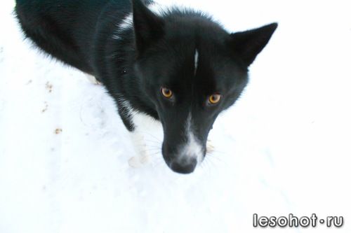 0_94c6c_4f4b549f_L.jpg