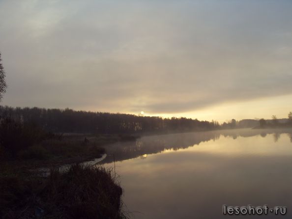 SDC19074.JPG