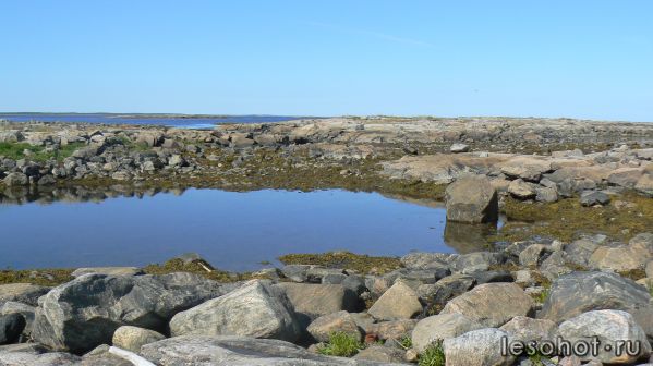 P1000621.JPG
