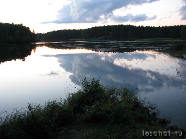 IMG_2719.jpg