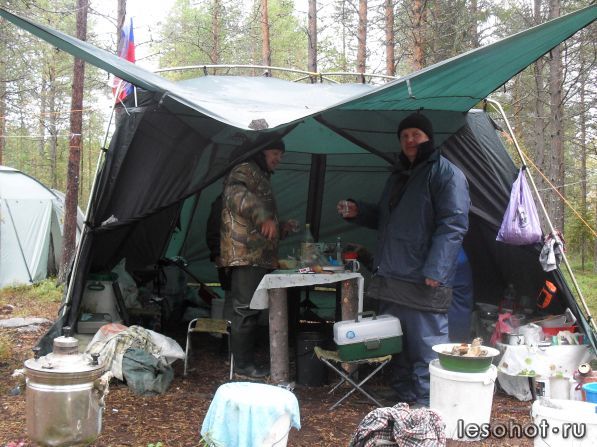 SDC10095.JPG