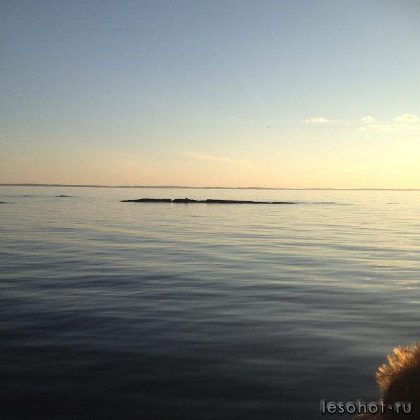 photo_00103.jpg