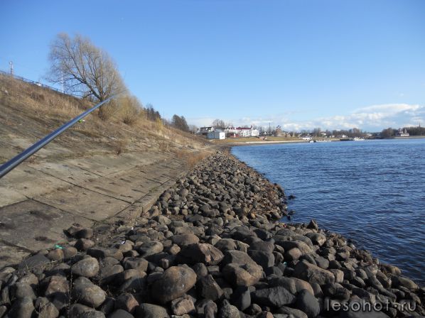 DSCN1146.JPG