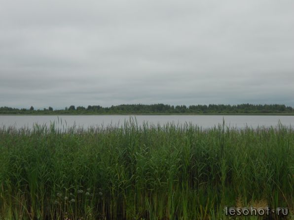 DSCN3448.JPG