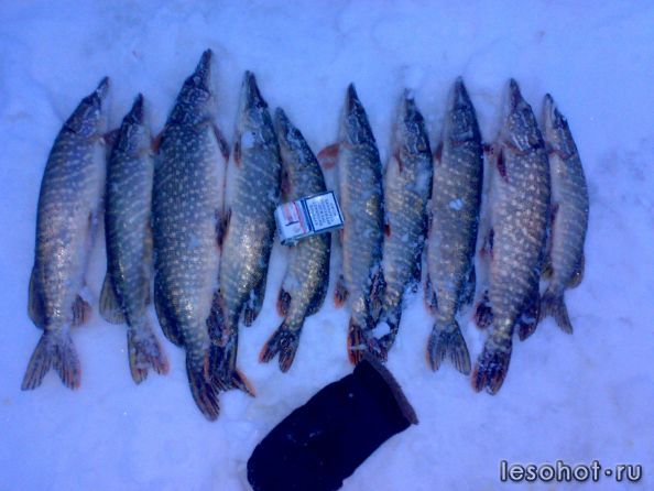 06022011043.jpg