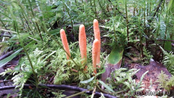 20180713_064141.jpg