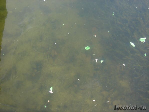 7.11.2011    .JPG