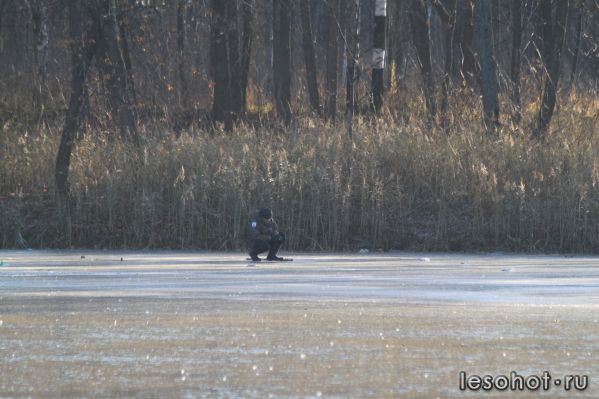 IMG_8095.JPG