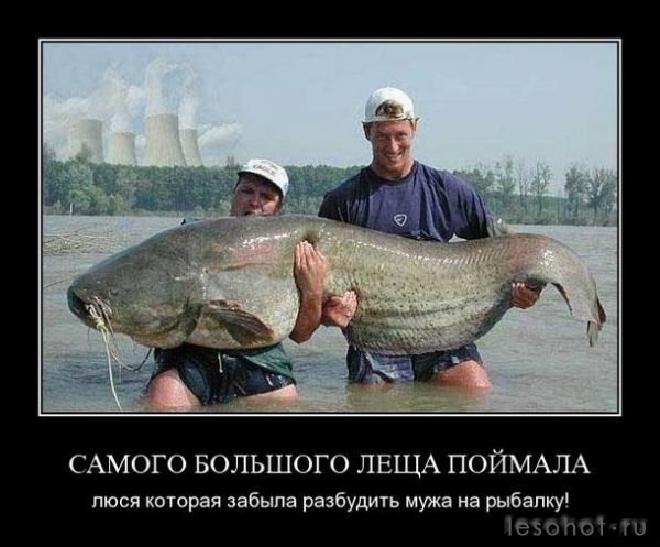 d5584fb5aac3144999e559b6057310e.jpg