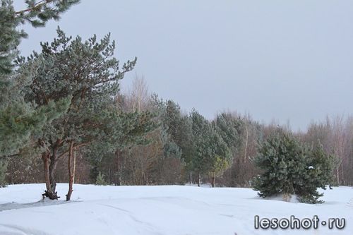 0_95d12_dd558844_L.jpg