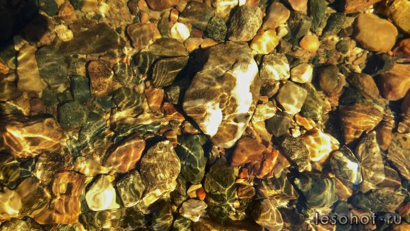 WP_20150708_031.jpg