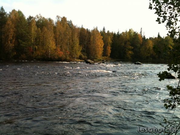 IMG_0387.jpg
