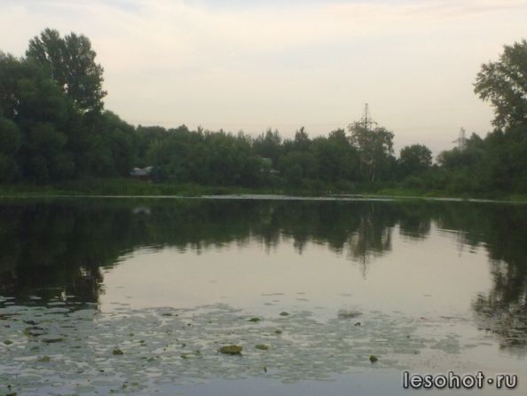 26072011244.jpg