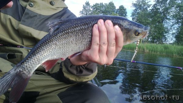WP_20140614_009-1.jpg