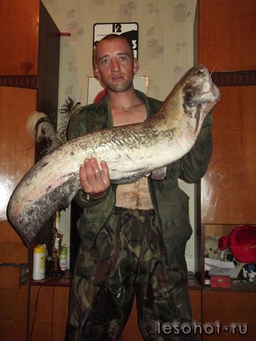 getImageCASF5X59.jpg