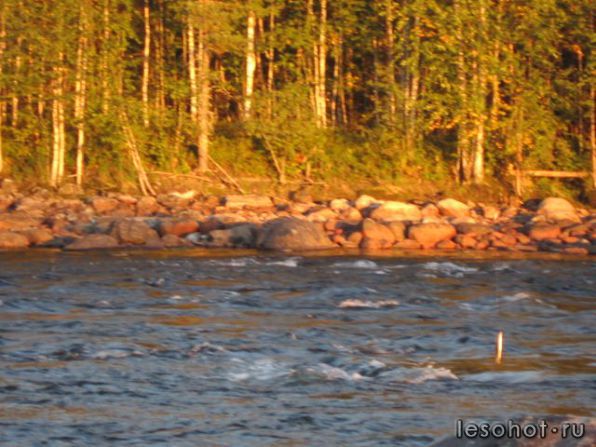 photo_00216.jpg