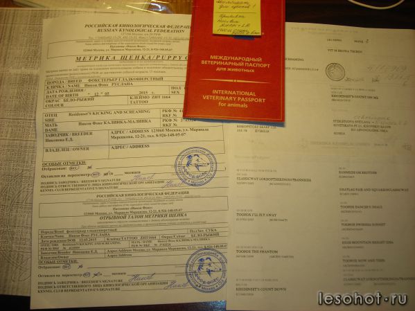 DSCN2506.JPG