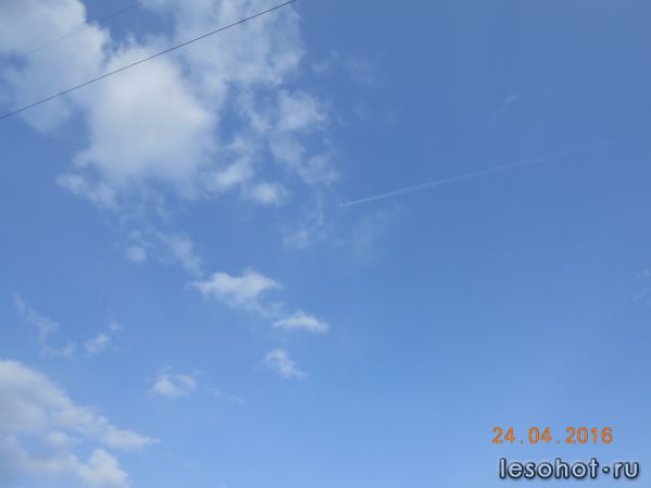 DSCN4962.JPG
