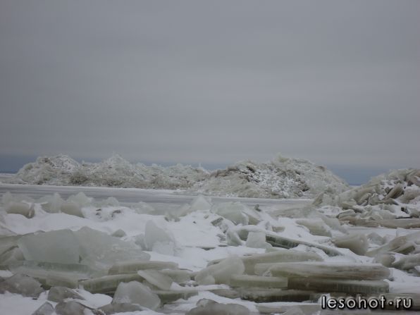 6825b473143bf4dc5c7d9587081dcdf7 (1).jpg