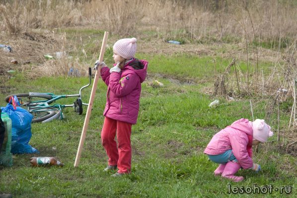 DSC_1764.jpg