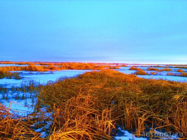 02122011538.jpg