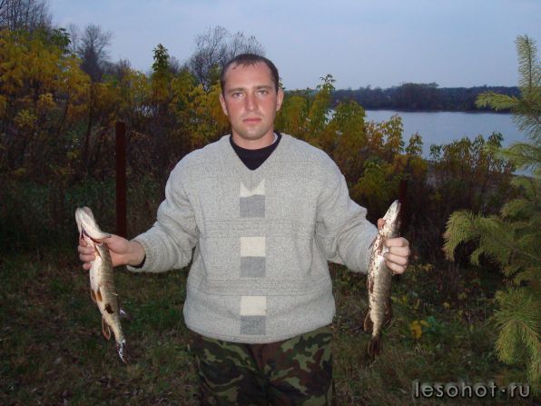  416.jpg