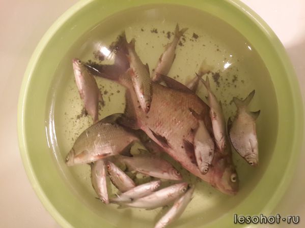 20140613_231805[1].jpg
