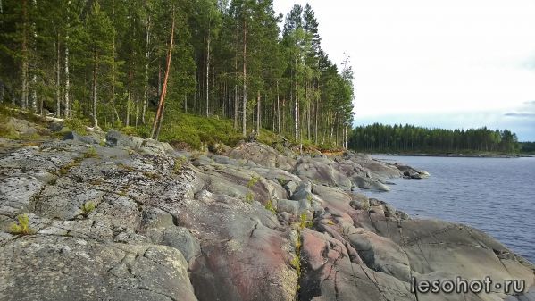 WP_20150707_033.jpg