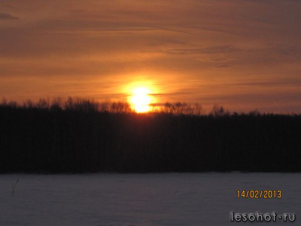 IMG_3816.JPG