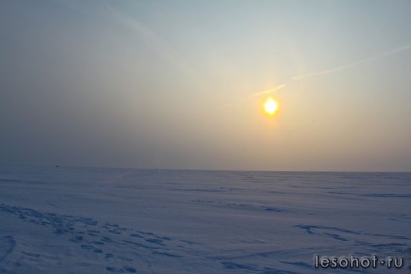 IMG_9455.jpg