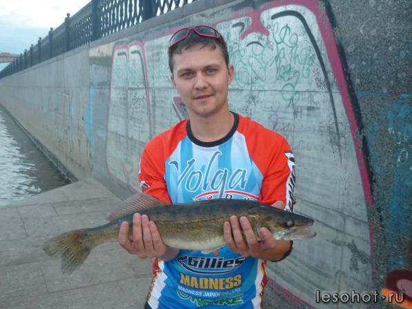 P1020343.JPG