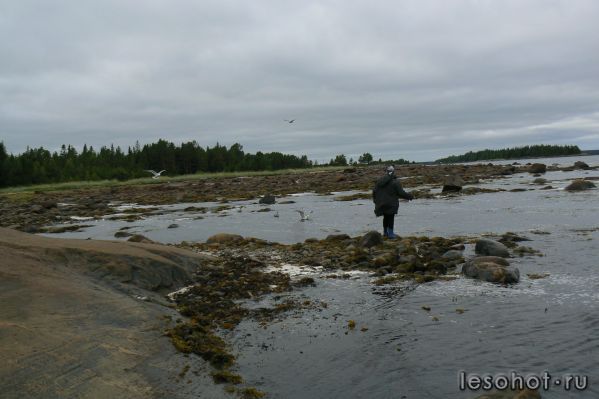 P1050345.JPG