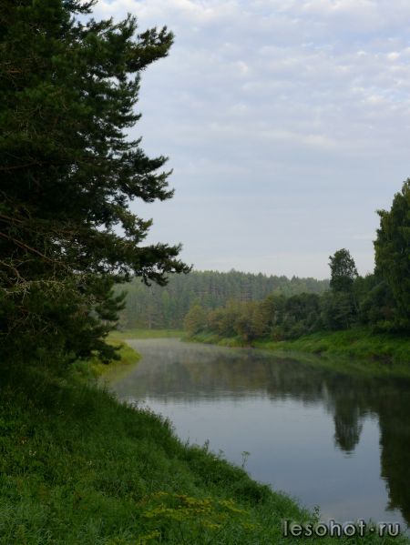 _1770186.JPG