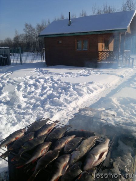 18022012741.jpg