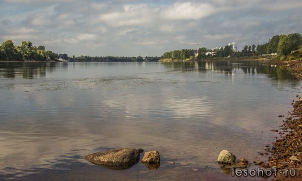 _DSC8903.JPG