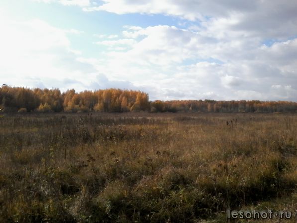20141011_142721.jpg