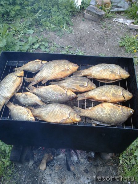 13052012053.jpg