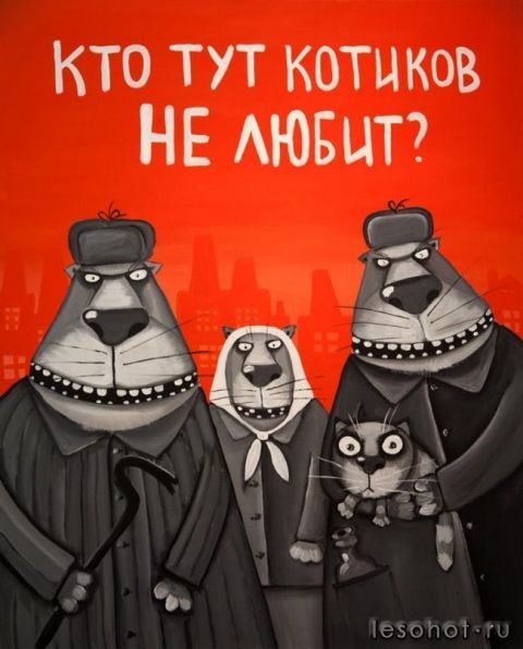 HyA_maIoI1Q.jpg