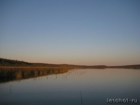 IMG_0049.JPG