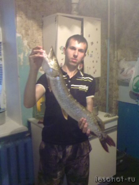 30062011238.jpg